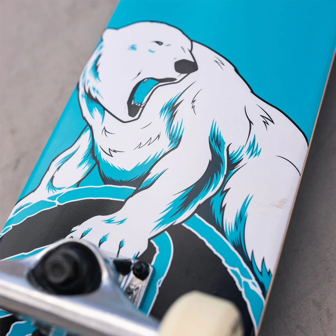 Z-Flex Polar Bear 7.25 Mini Complete - Image 2